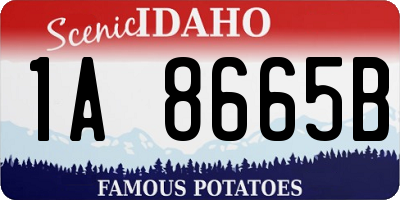 ID license plate 1A8665B