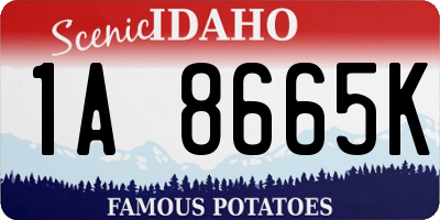 ID license plate 1A8665K