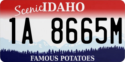 ID license plate 1A8665M