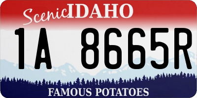 ID license plate 1A8665R