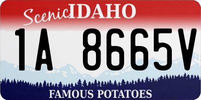 ID license plate 1A8665V