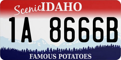 ID license plate 1A8666B