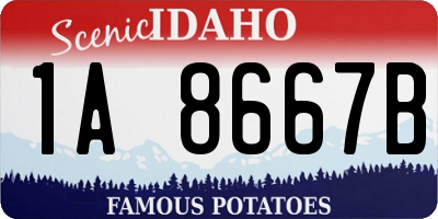 ID license plate 1A8667B