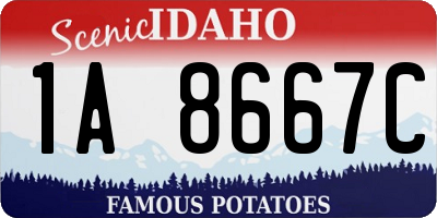 ID license plate 1A8667C