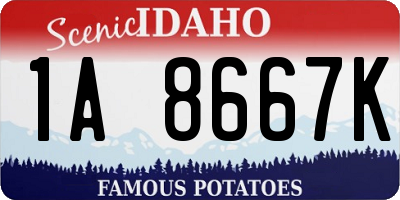 ID license plate 1A8667K