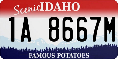 ID license plate 1A8667M