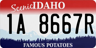 ID license plate 1A8667R
