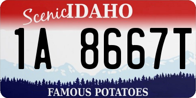 ID license plate 1A8667T
