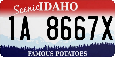 ID license plate 1A8667X