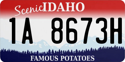 ID license plate 1A8673H