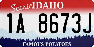 ID license plate 1A8673J