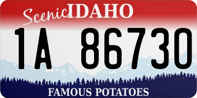 ID license plate 1A8673O