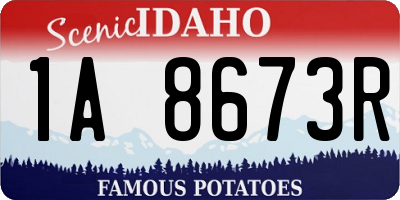 ID license plate 1A8673R