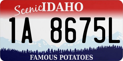 ID license plate 1A8675L