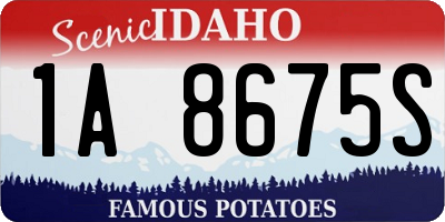 ID license plate 1A8675S