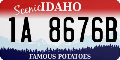 ID license plate 1A8676B