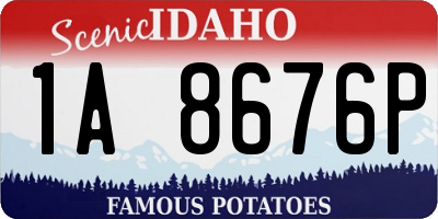 ID license plate 1A8676P