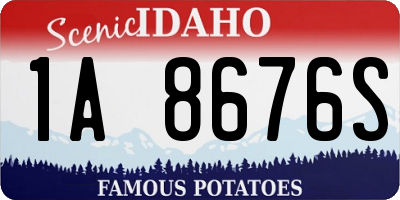ID license plate 1A8676S