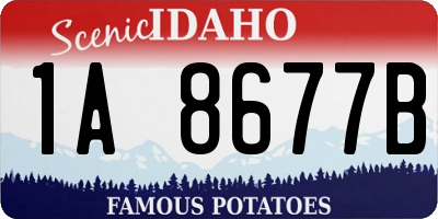 ID license plate 1A8677B