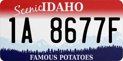 ID license plate 1A8677F