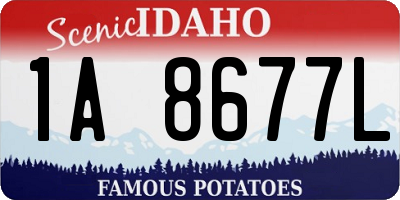 ID license plate 1A8677L