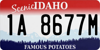 ID license plate 1A8677M