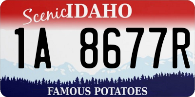 ID license plate 1A8677R