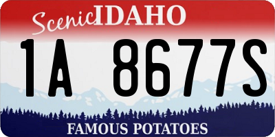 ID license plate 1A8677S
