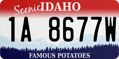 ID license plate 1A8677W