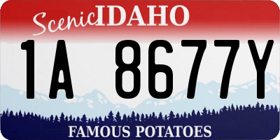 ID license plate 1A8677Y
