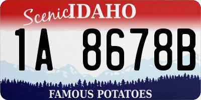 ID license plate 1A8678B
