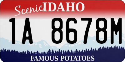 ID license plate 1A8678M