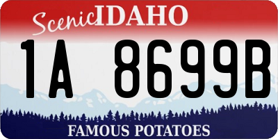 ID license plate 1A8699B