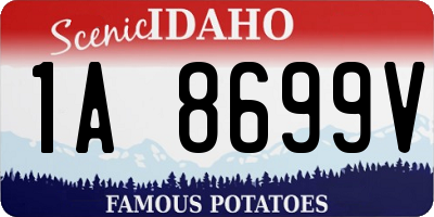 ID license plate 1A8699V
