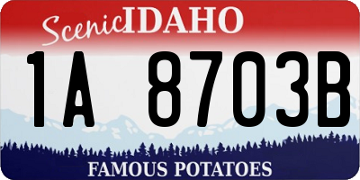 ID license plate 1A8703B