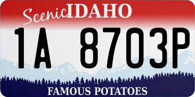 ID license plate 1A8703P