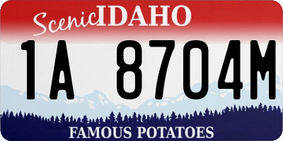 ID license plate 1A8704M