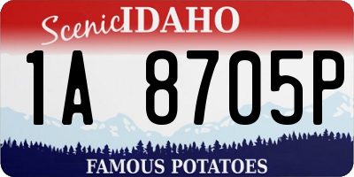 ID license plate 1A8705P