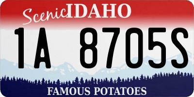 ID license plate 1A8705S