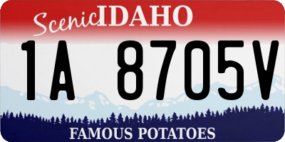 ID license plate 1A8705V