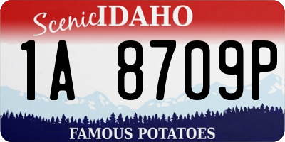ID license plate 1A8709P