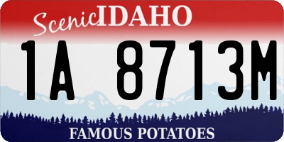 ID license plate 1A8713M