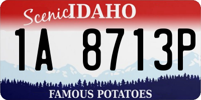 ID license plate 1A8713P