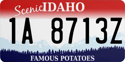 ID license plate 1A8713Z