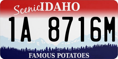 ID license plate 1A8716M