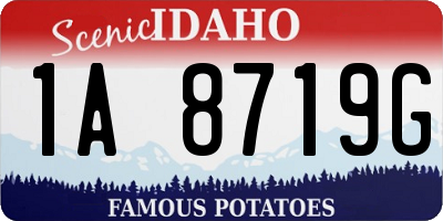 ID license plate 1A8719G