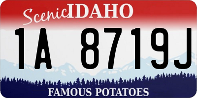 ID license plate 1A8719J