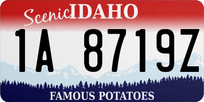 ID license plate 1A8719Z