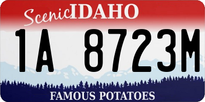 ID license plate 1A8723M