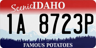 ID license plate 1A8723P